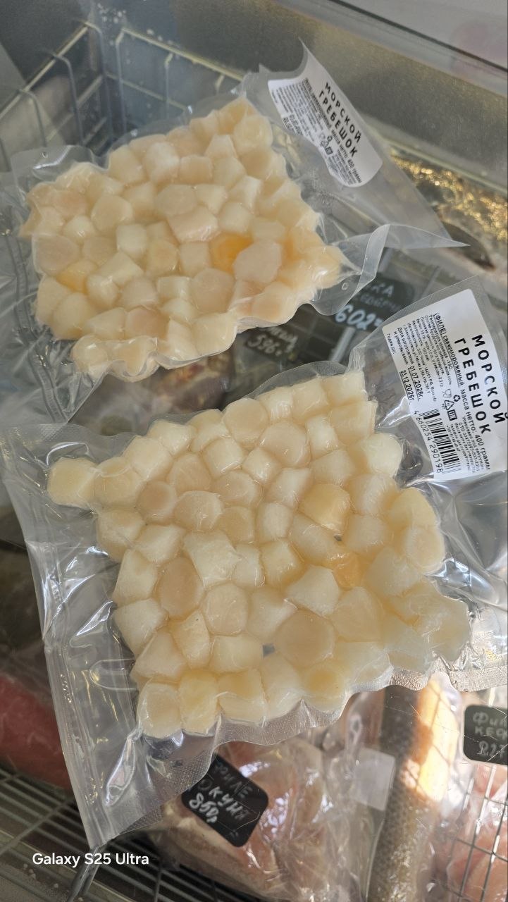 Гребешок морской