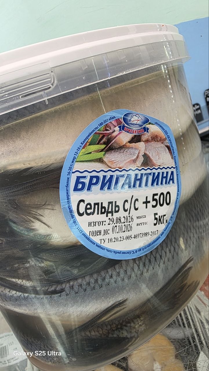 Сельдь атлантическая Бригантина